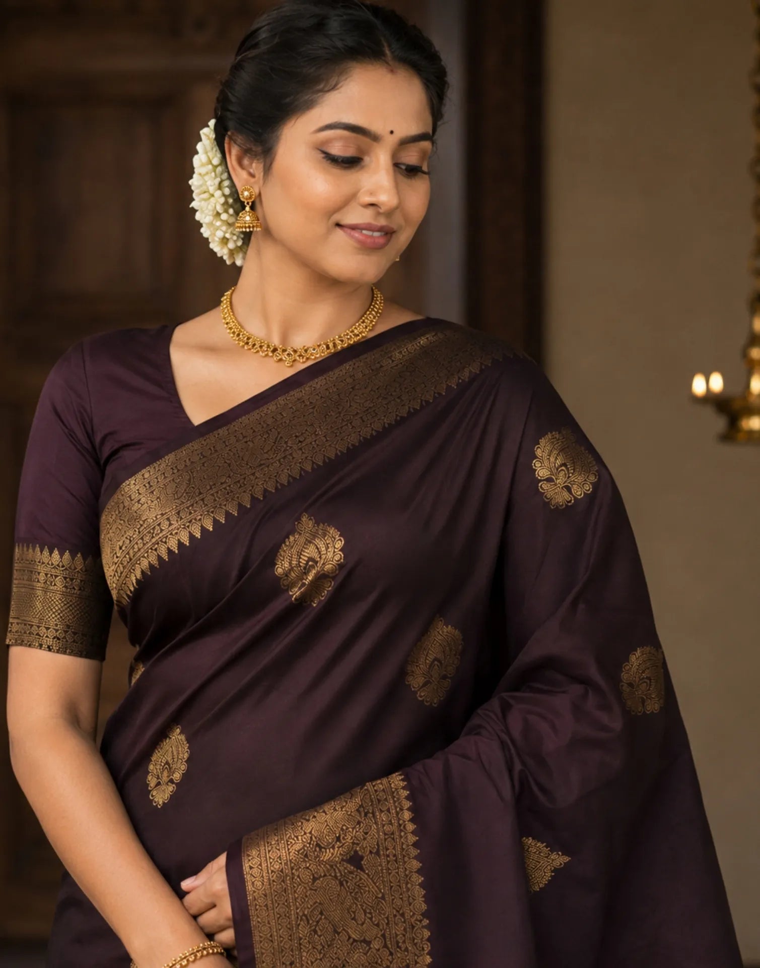 Deep Wine Kanchipuram Silk