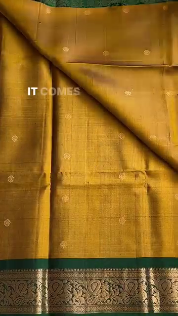 Dhruva Pattu Silk Saree